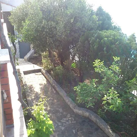 House Ojdana *